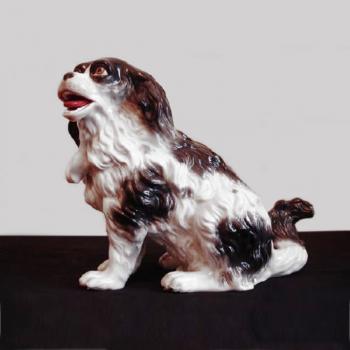 Pes - Kavalír King Charles Španěl Pes - Kavalír King Charles Španěl