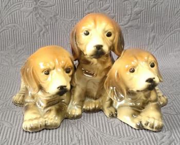 Psi, zn. Neundorf Psi, zn. Neundorf