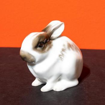 Rosenthla, králík Rosenthla, králík