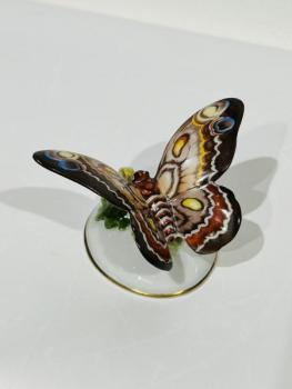 Rosenthal, motýl