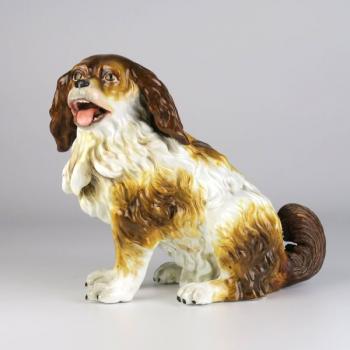 Kavalír King Charles Španěl Kavalír King Charles Španěl
