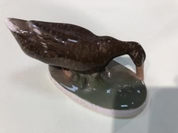 Rosenthal, kachna Rosenthal, kachna