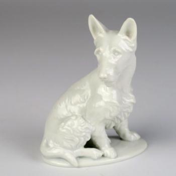 Teriér - Rosenthal Teriér - Rosenthal